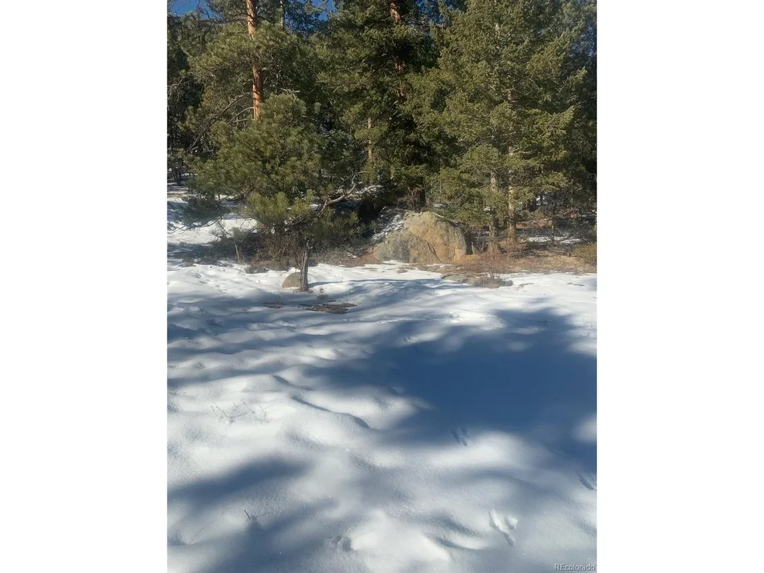 Photo of Cedar Dr