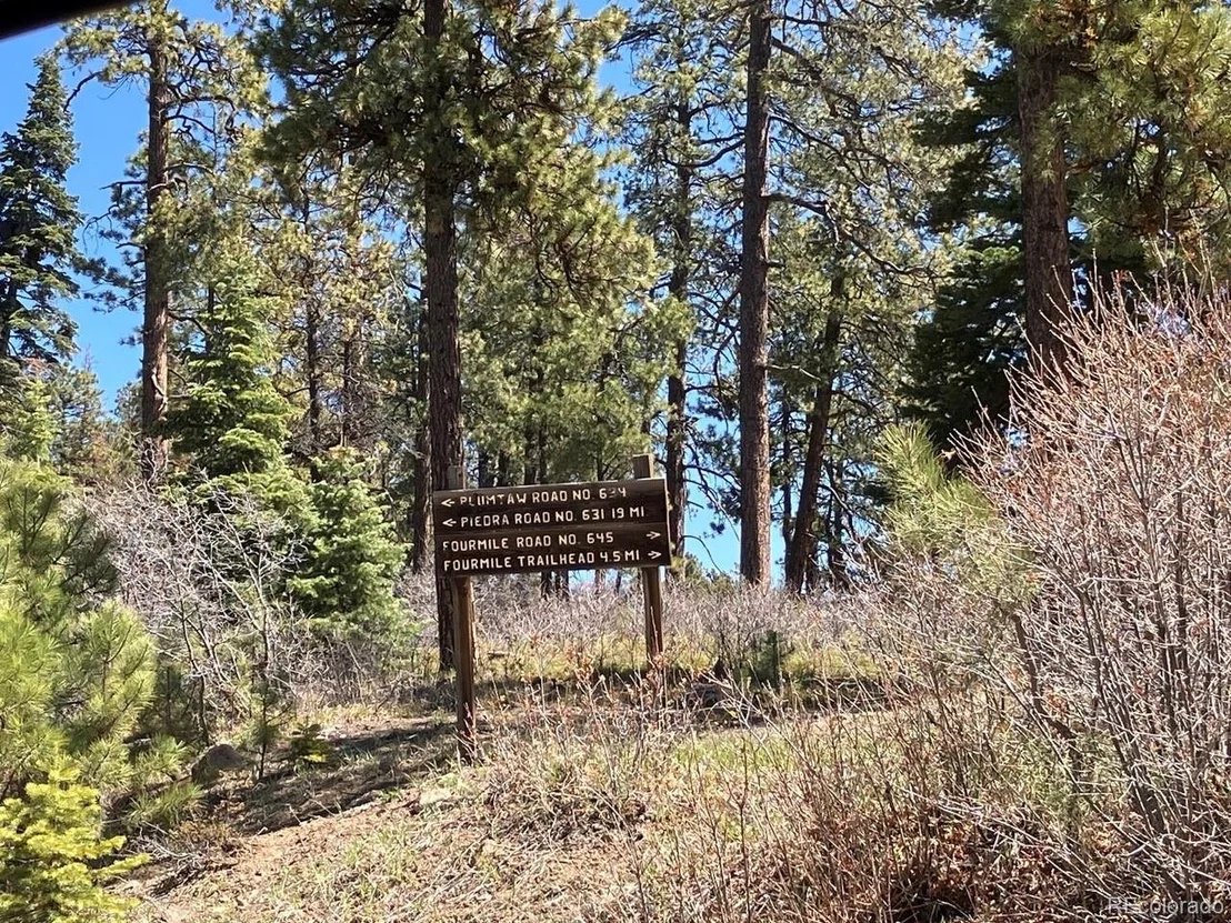 Photo of 207 Camp Robber Dr