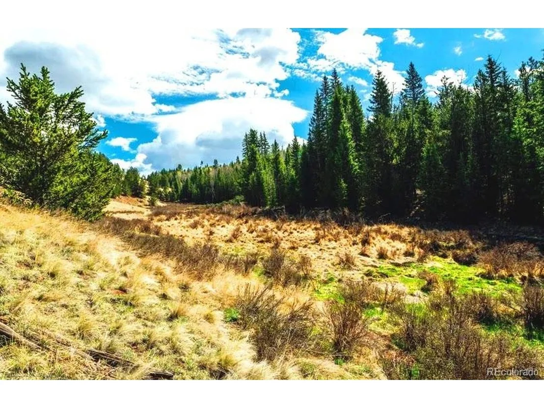 Photo of 977 County Road 61