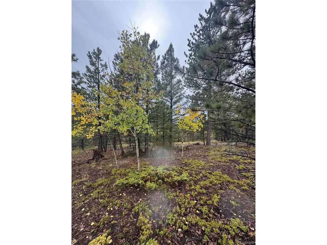 Photo of 7935 County Road 51