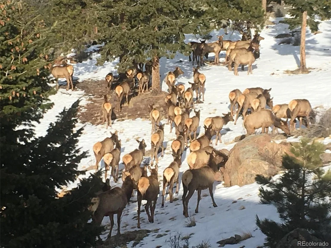 Photo of 15077 Wilson Peak Rd