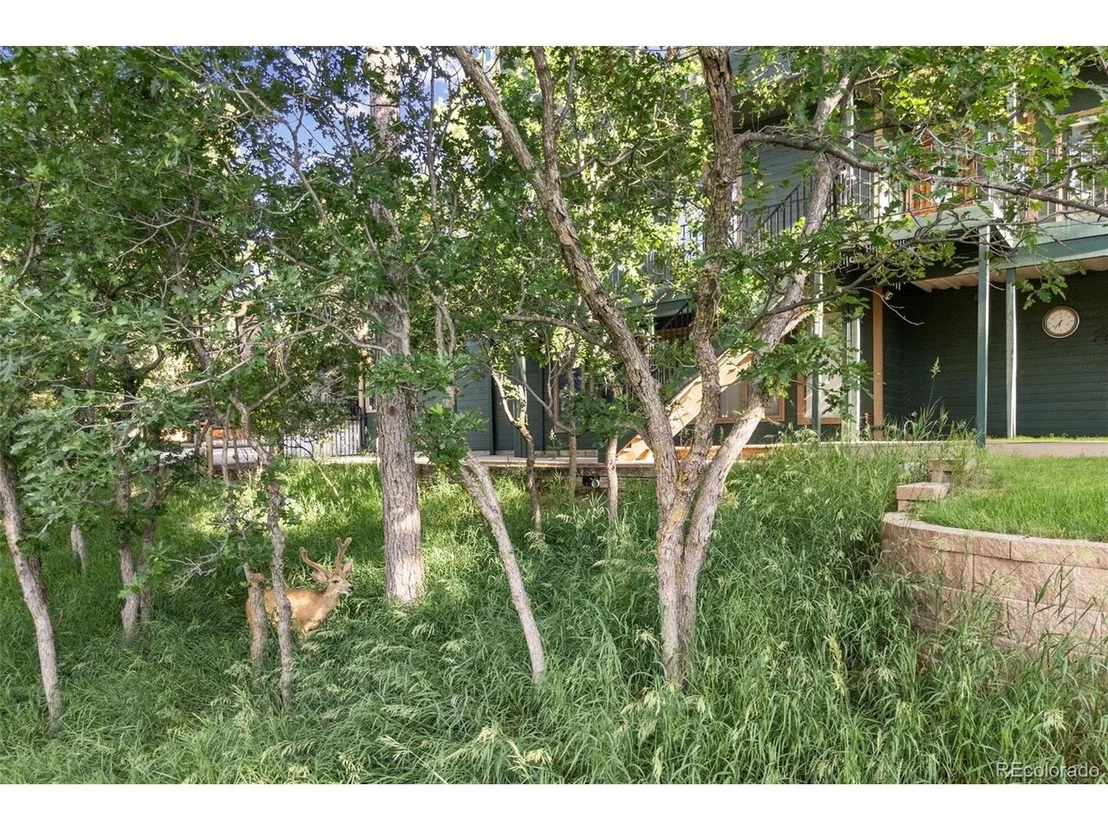 Photo of 6207 Elbert Pl