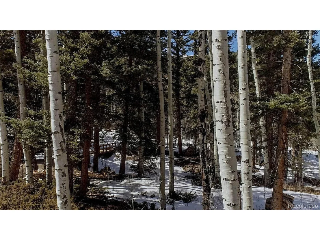 Photo of 3521 County Road 210