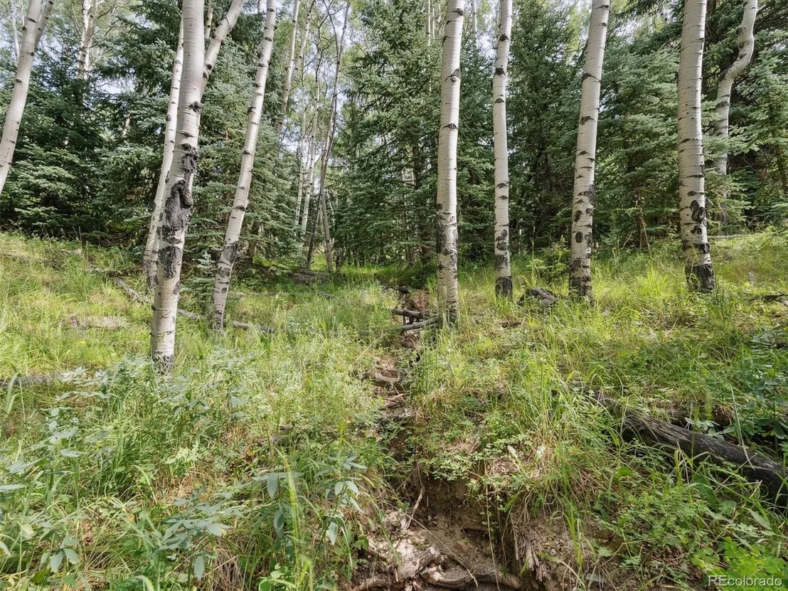Photo of 0 Snyder Mountain Rd
