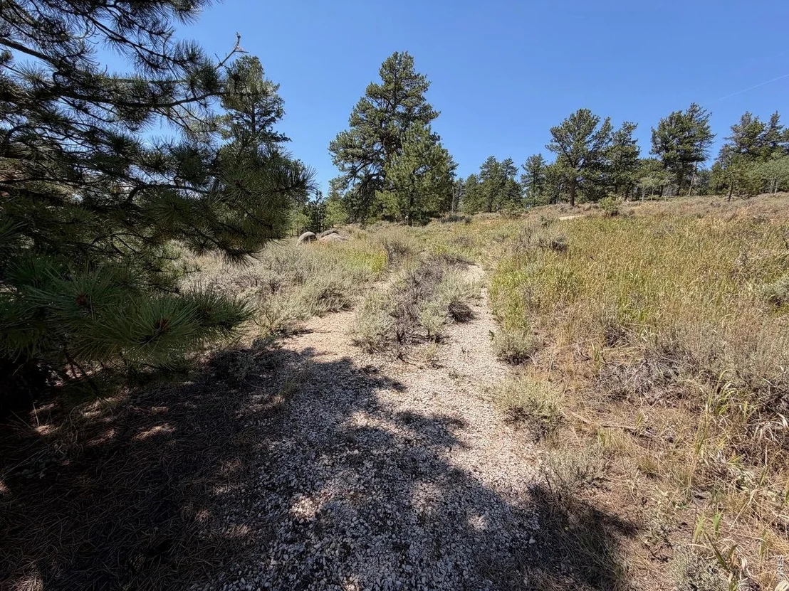 Photo of 339 Swift Deer Rd