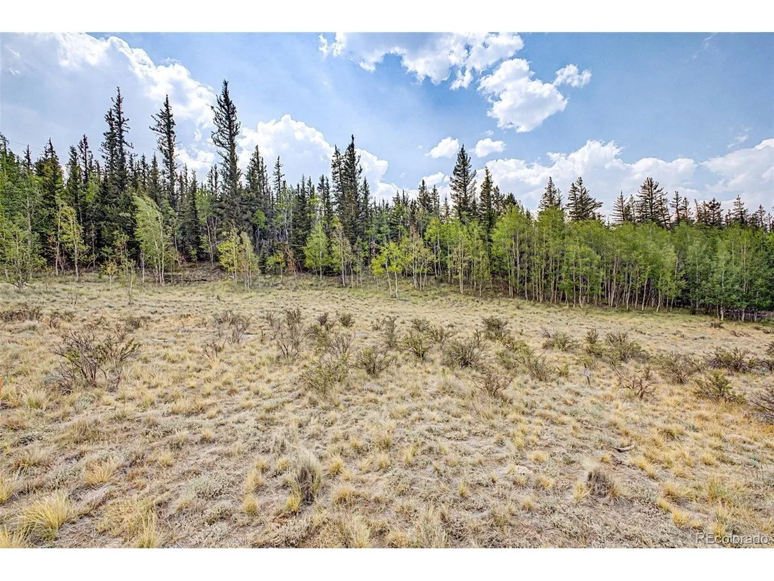 Photo of 360 Palomino Dr