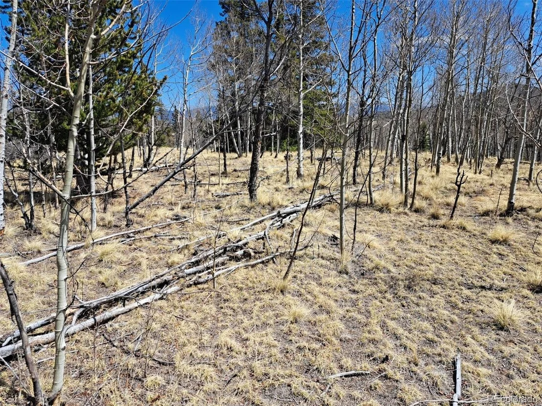 Photo of 730 Tepee Trl