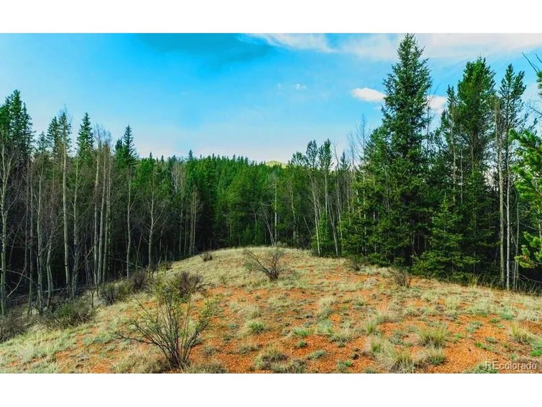 Photo of 977 County Road 61