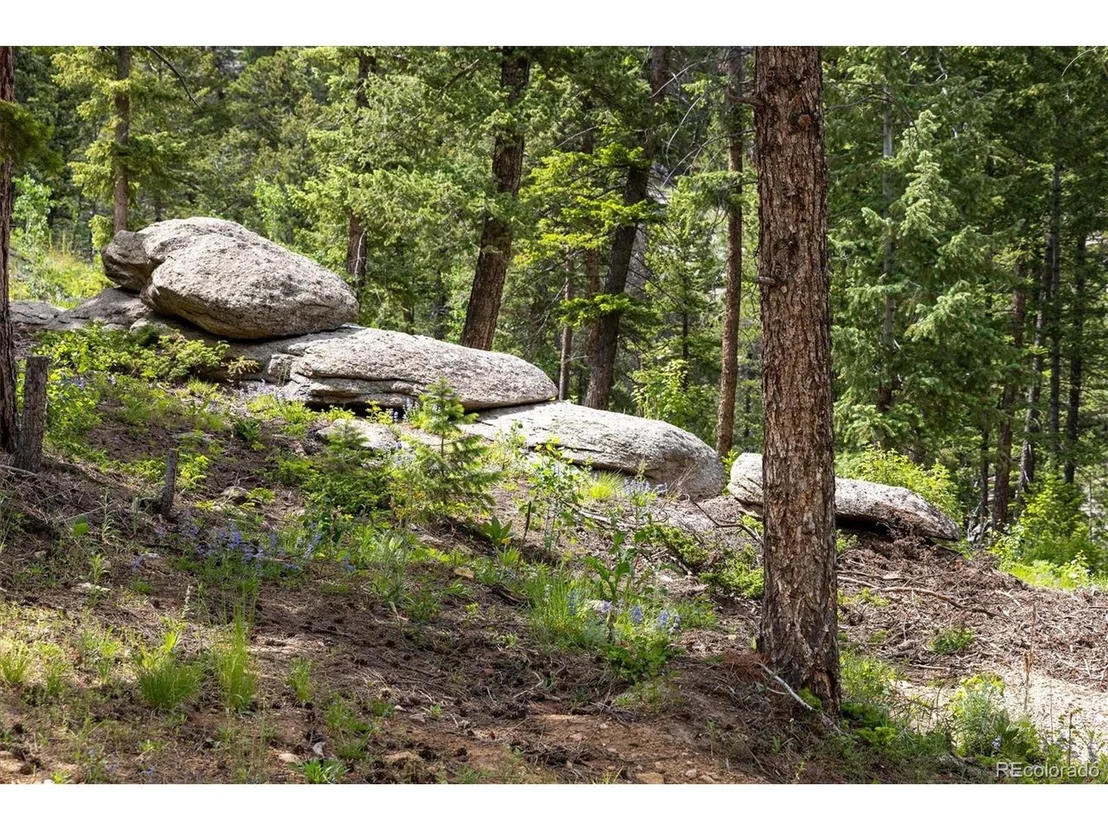 Photo of 31429 Burke Rd