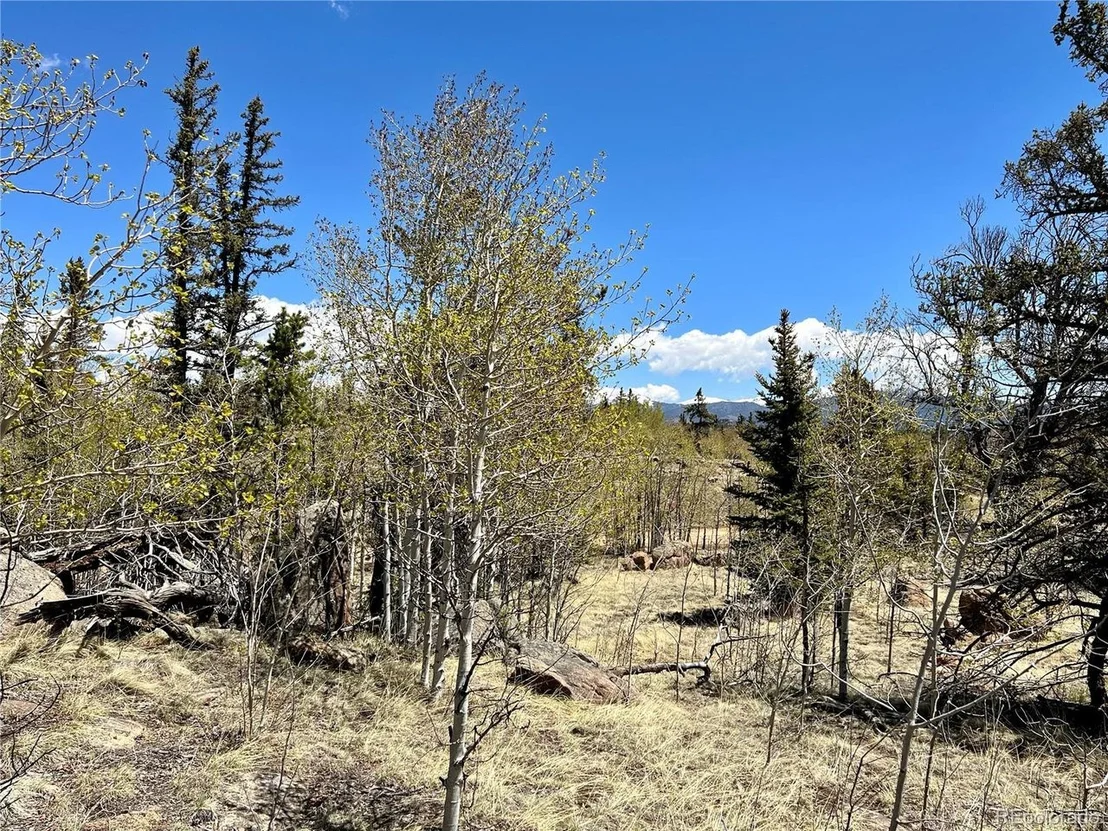Photo of 201 Kodiak Rd