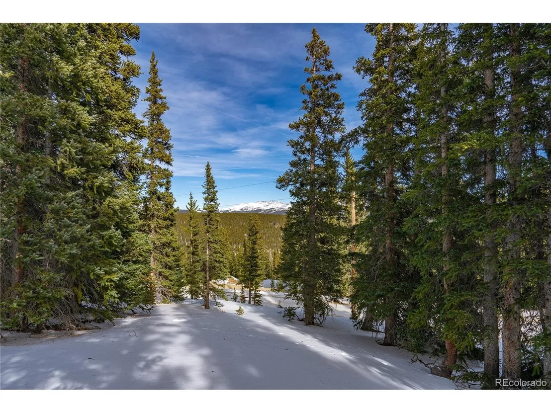 Photo of 503 Silverheels Pl