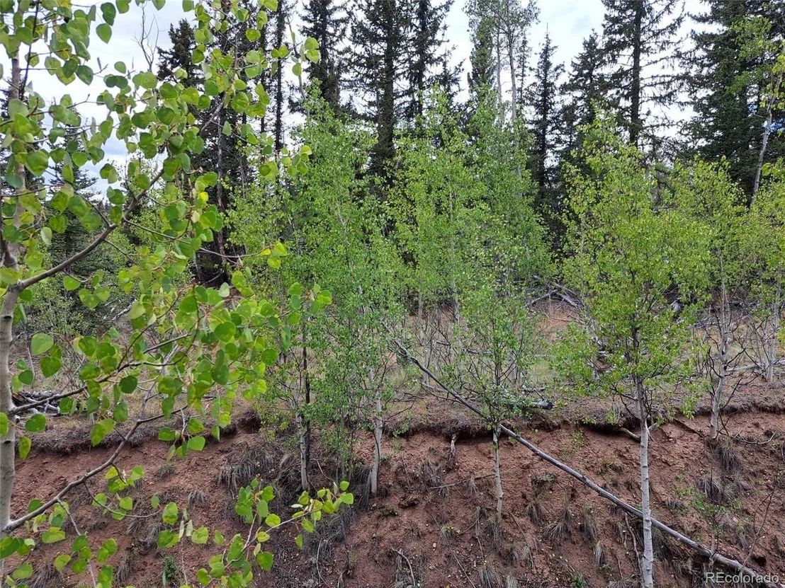 Photo of 6206 Remington Rd