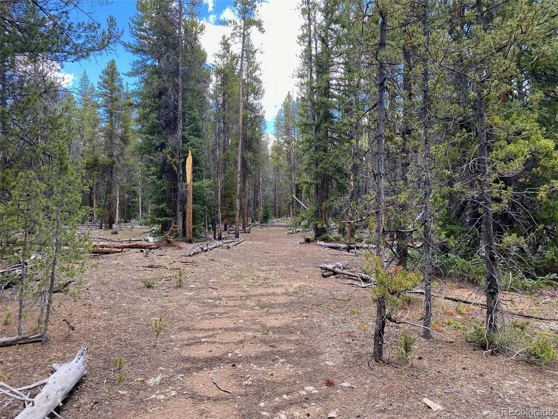 Photo of County Road 50