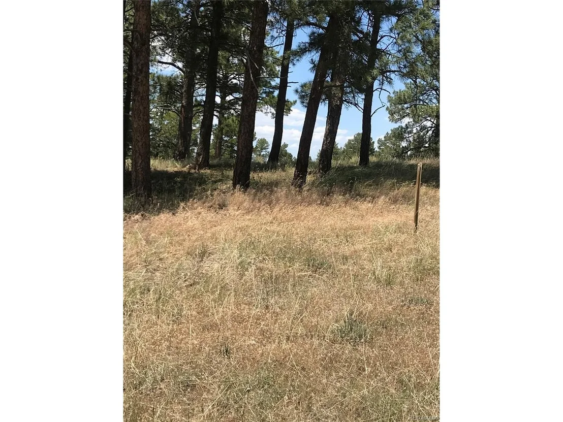 Photo of 10560 Shadow Pines Rd
