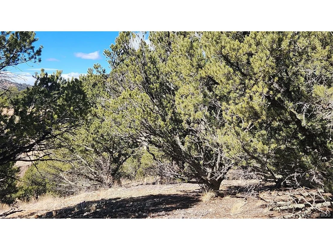 Photo of 311 Kit Carson Trl