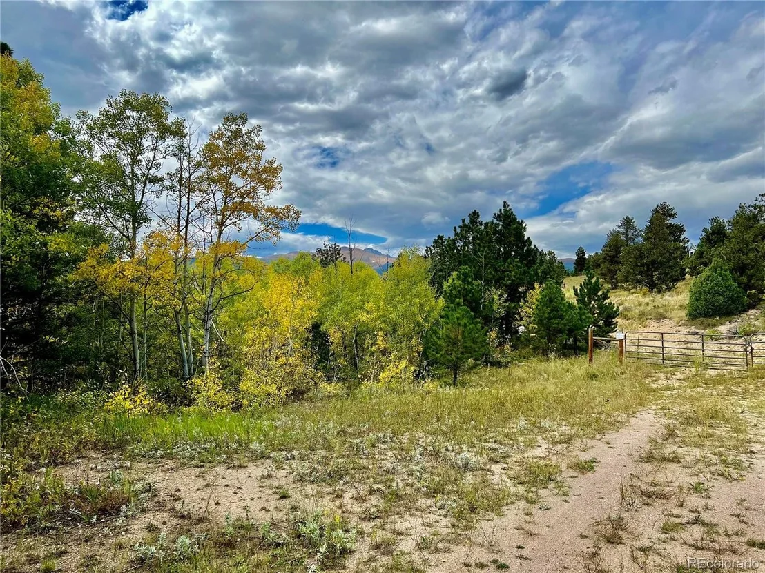 Photo of 2175 Cold Springs Rd