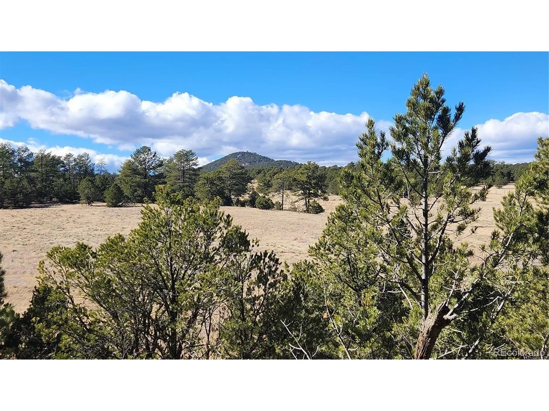 Photo of 311 Kit Carson Trl