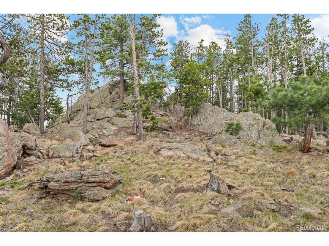 Photo of 10157 Horizon View Dr