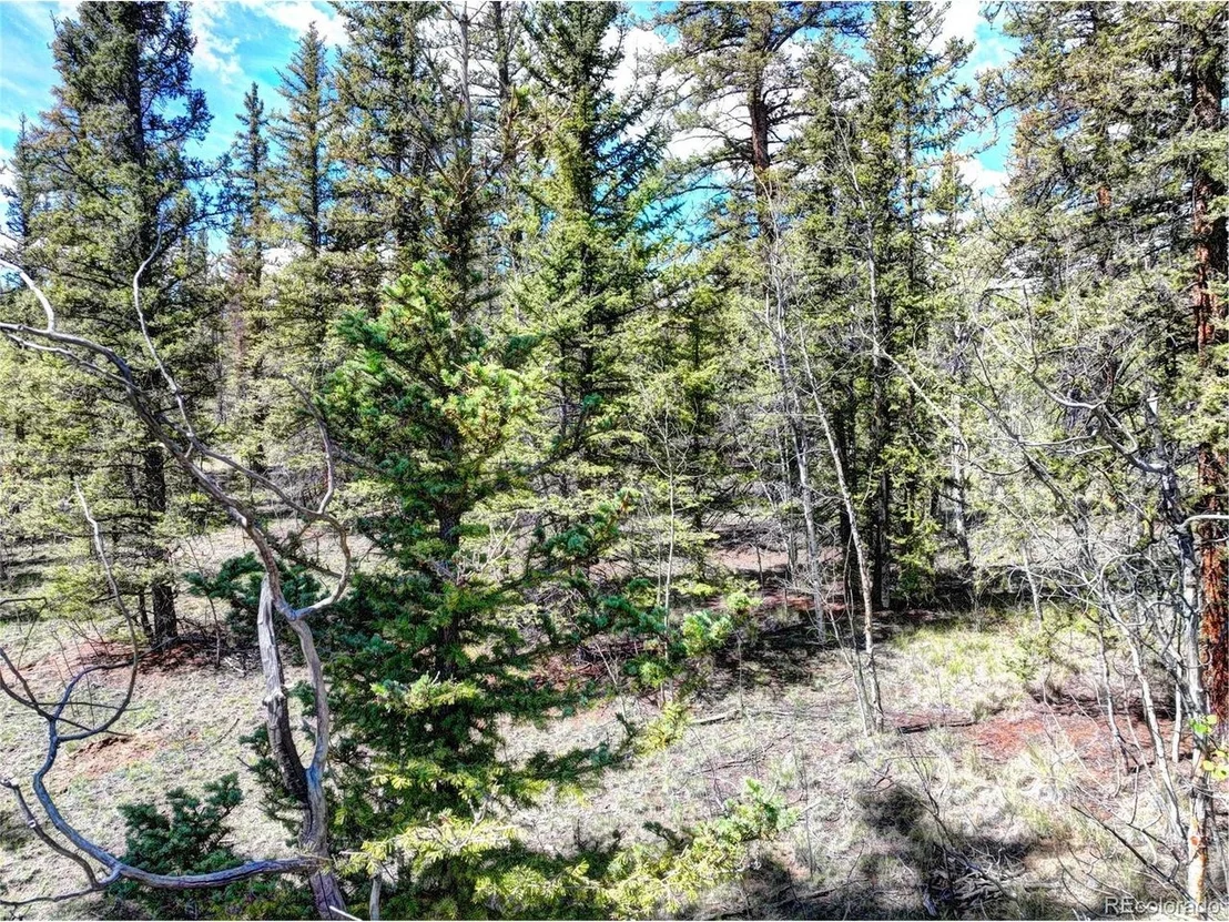 Photo of 75 Swiggler Rd