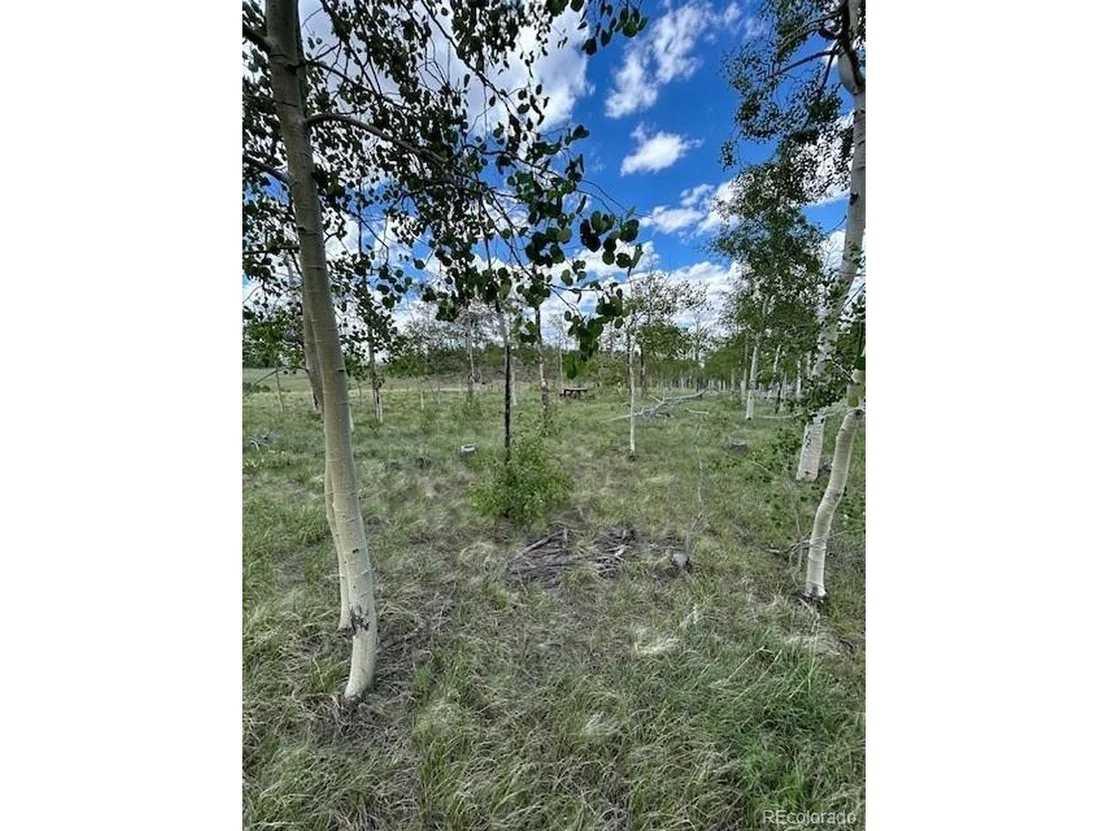 Photo of 807 Bolster Dr