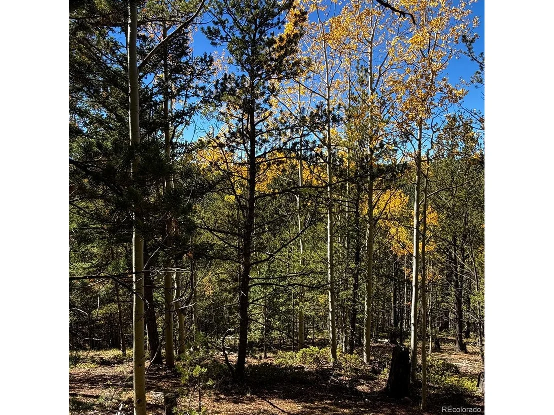 Photo of 773 Timber Ridge Rd