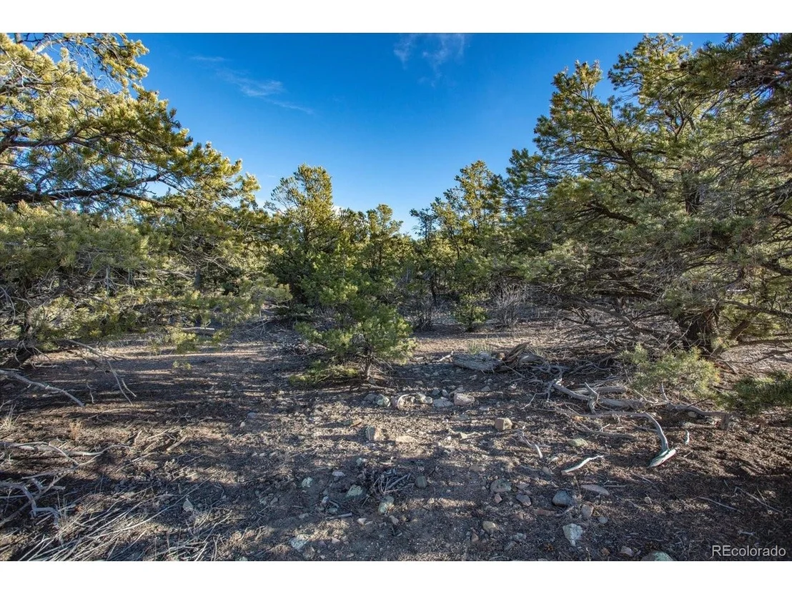 Photo of 5450 Longbranch Rd