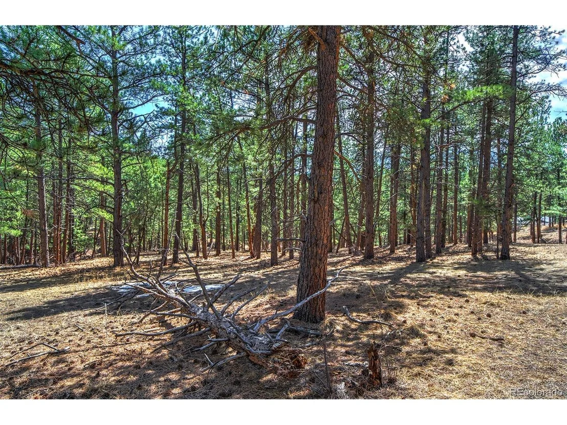 Photo of 27444 Pine Valley Dr