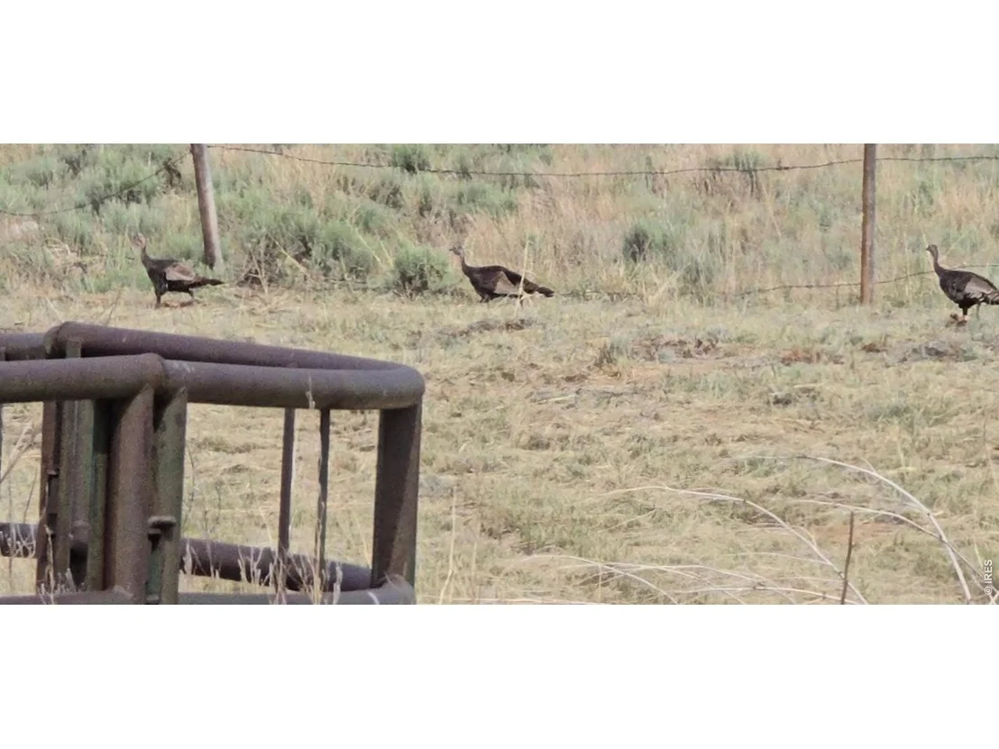 Photo of 26247 County Road 2