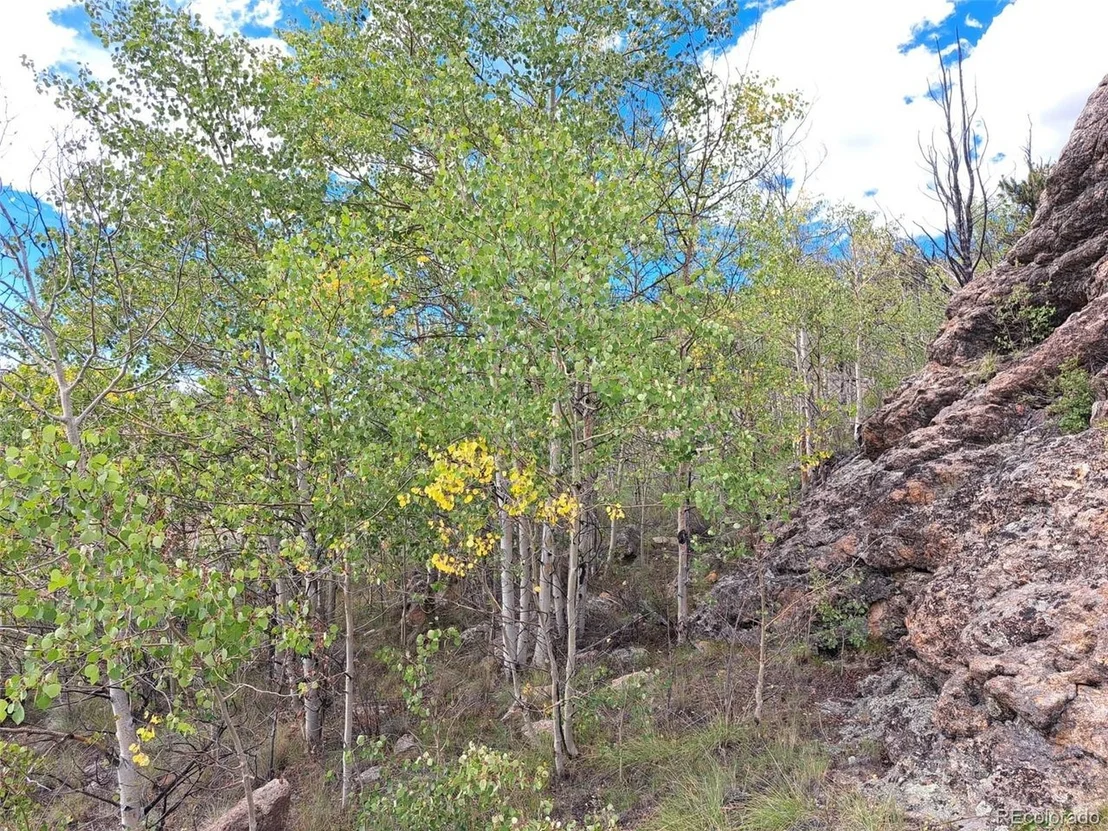 Photo of 736 Stagestop Rd