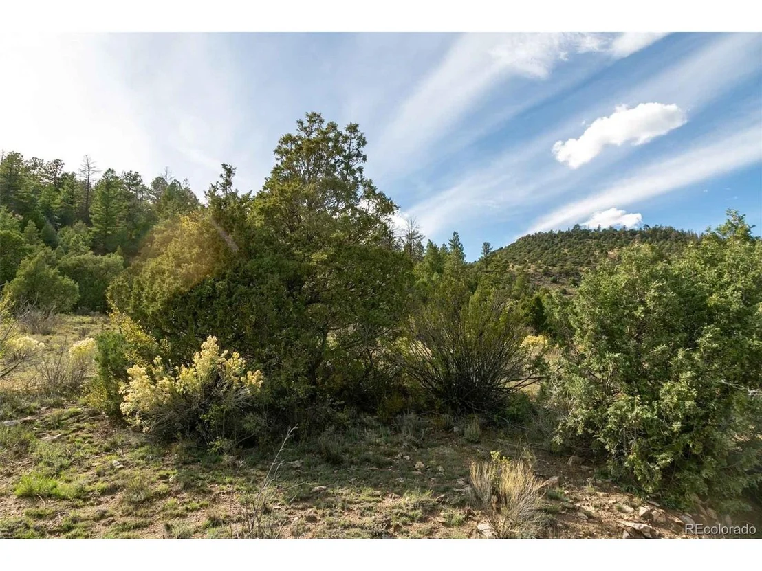 Photo of 963 Bear Creek Cir