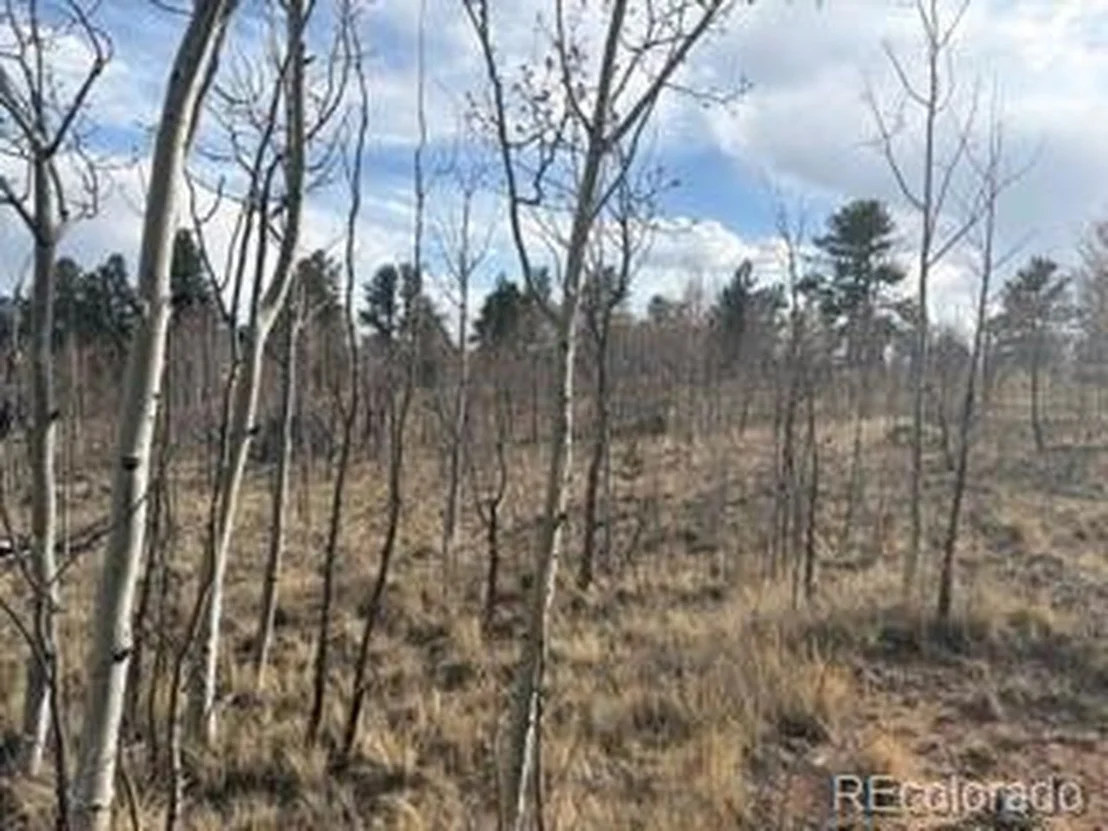 Photo of 404 Spade Pl