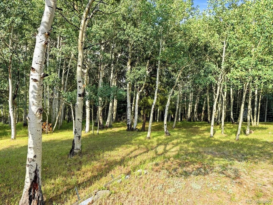 Photo of 74 Silver Lode Cir