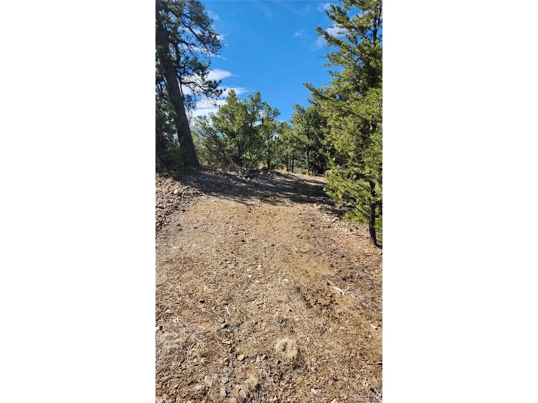 Photo of I Path