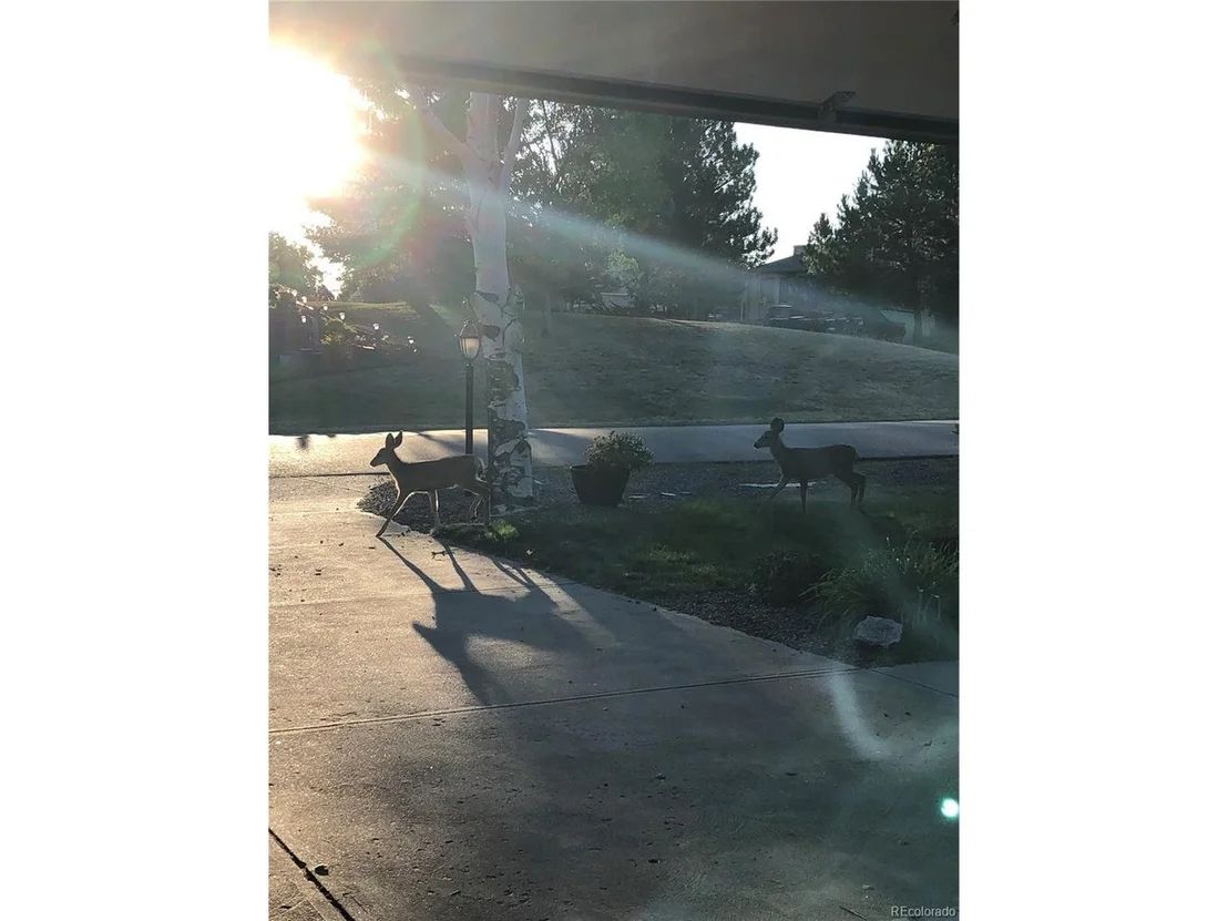 Photo of 5283 Nashua Cir