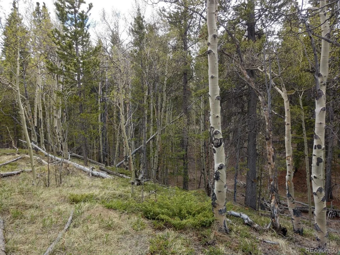 Photo of 317 Ski Doo Rd