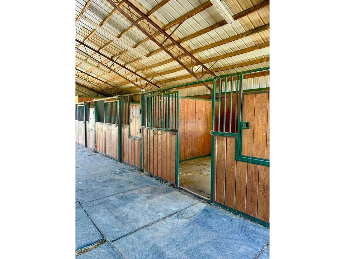 Photo of 11534 Eagle Springs Trl