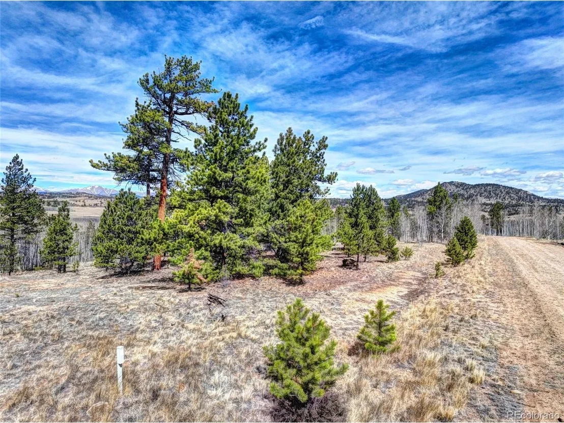 Photo of 101 Patch Ct