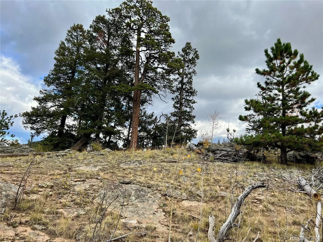 Photo of 791 Haida Ln