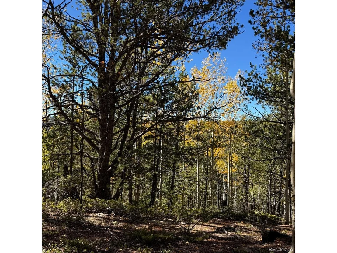 Photo of 773 Timber Ridge Rd