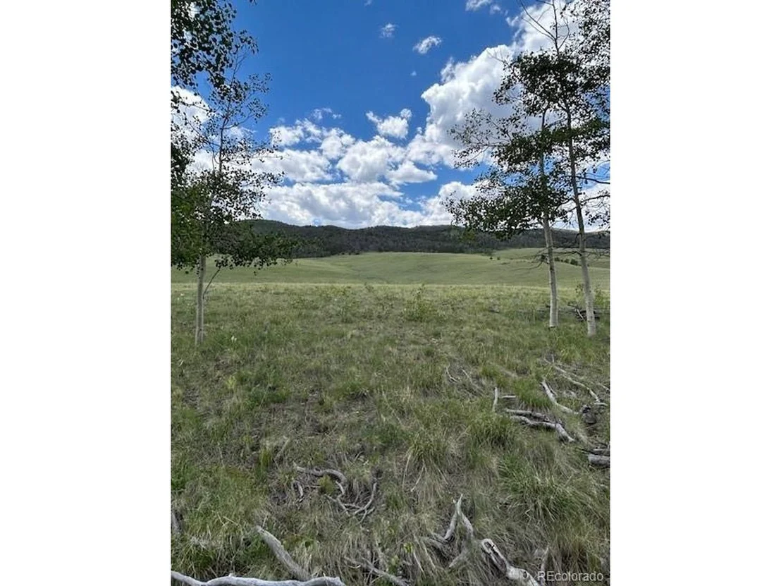 Photo of 807 Bolster Dr