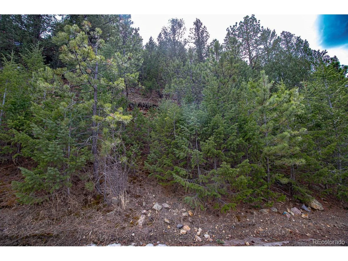 Photo of 123 Divide View Dr