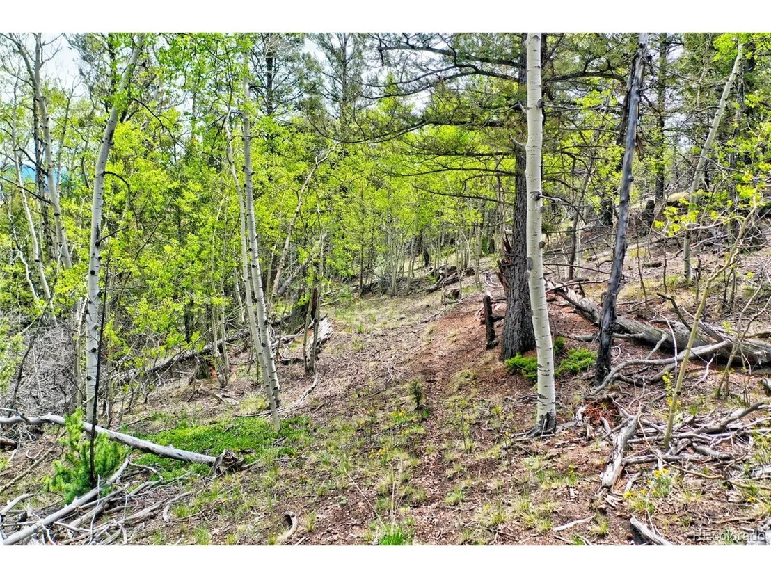 Photo of 28 Old Squaw Rd