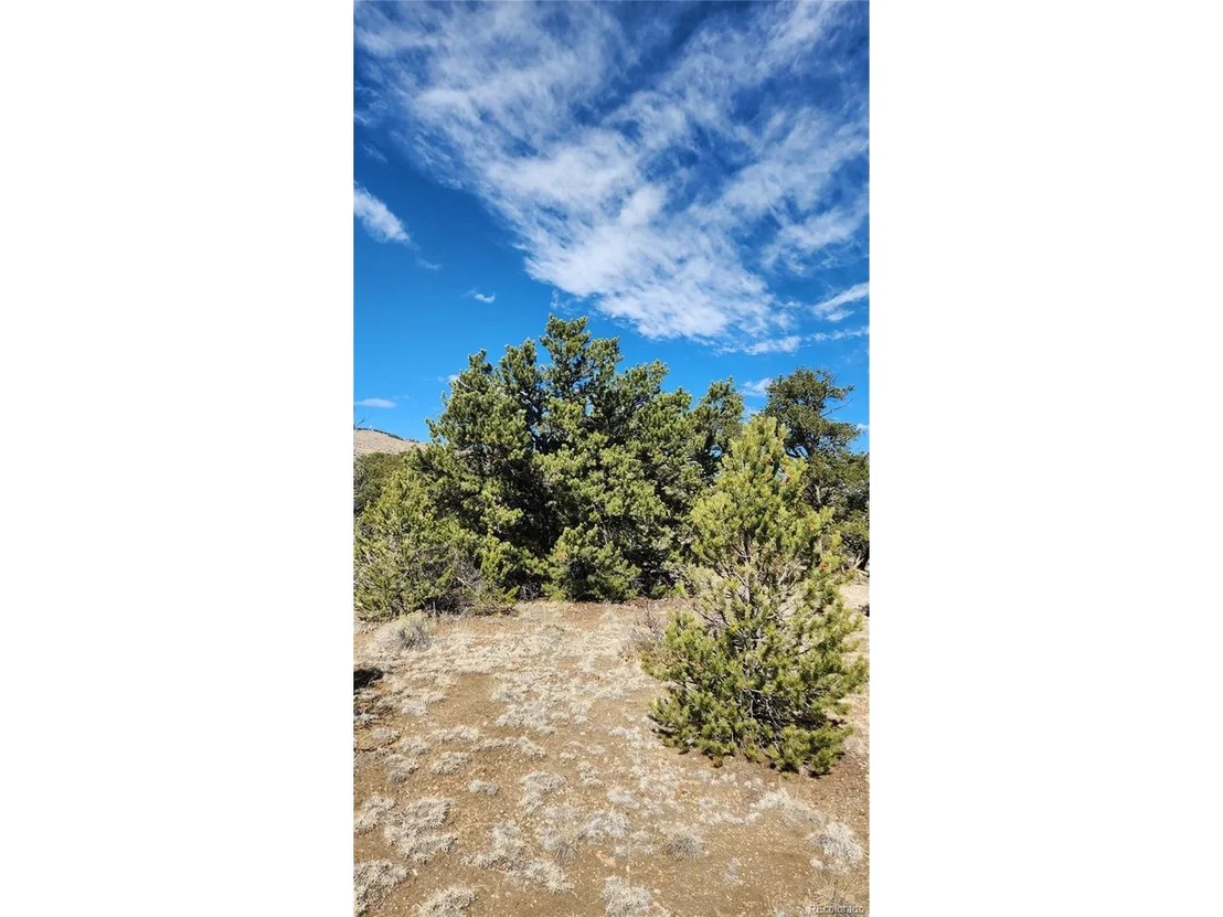 Photo of I Path