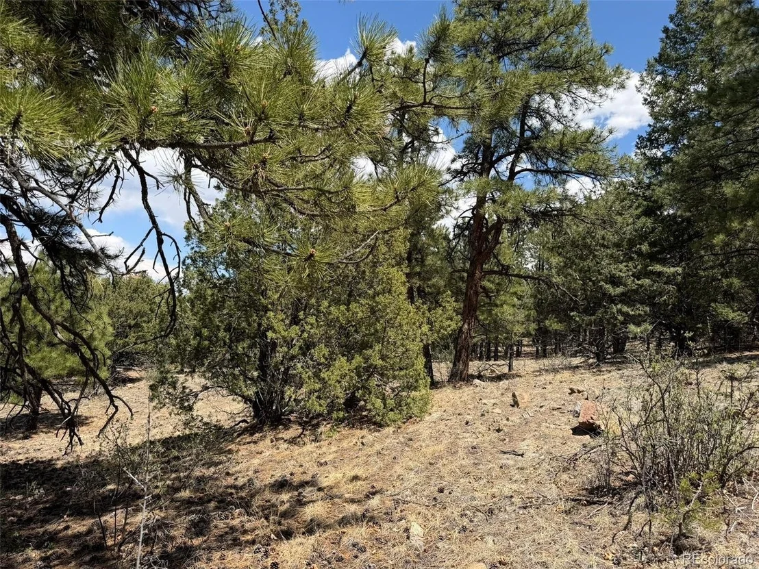 Photo of 477 Bear Peak Rd