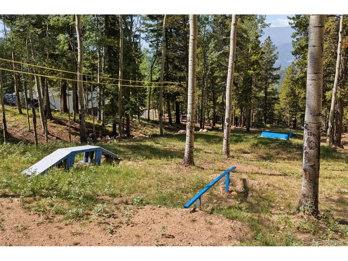 Photo of 11102 Conifer Mountain Rd