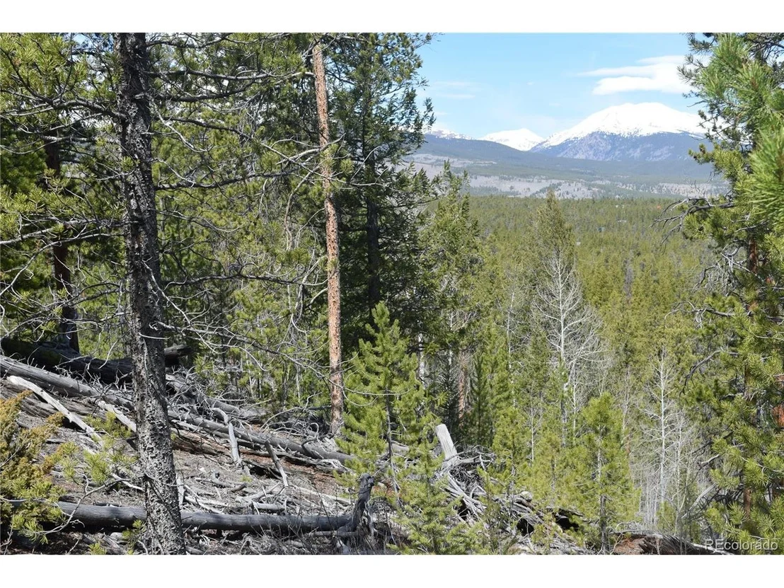 Photo of 483 Mt. Elbert Dr
