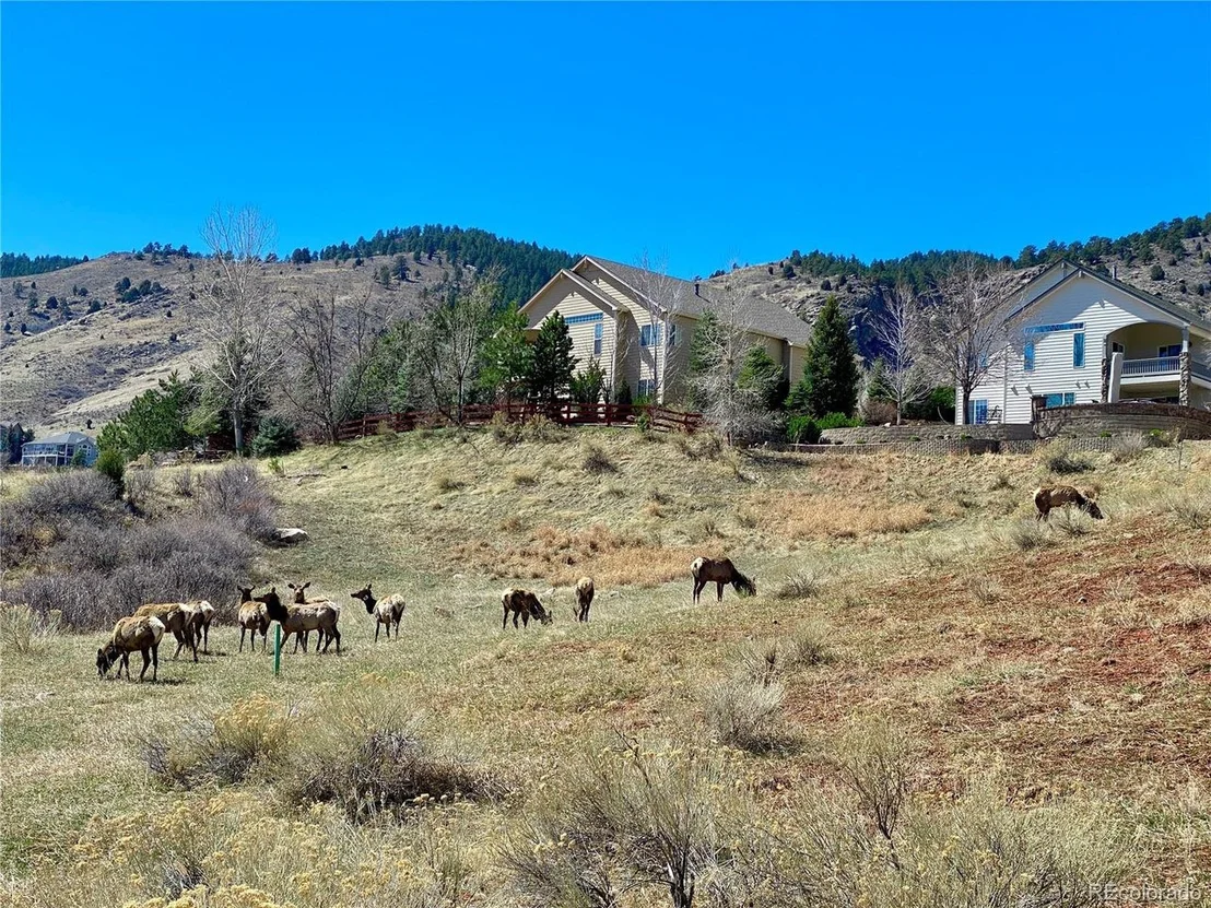 Photo of 828 Rabbit Run Dr