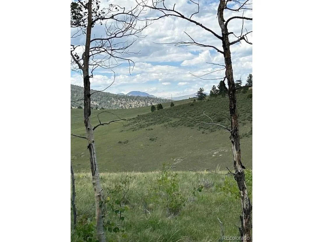 Photo of 807 Bolster Dr