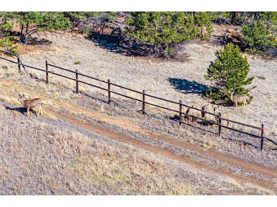 Photo of 987 14th Trl