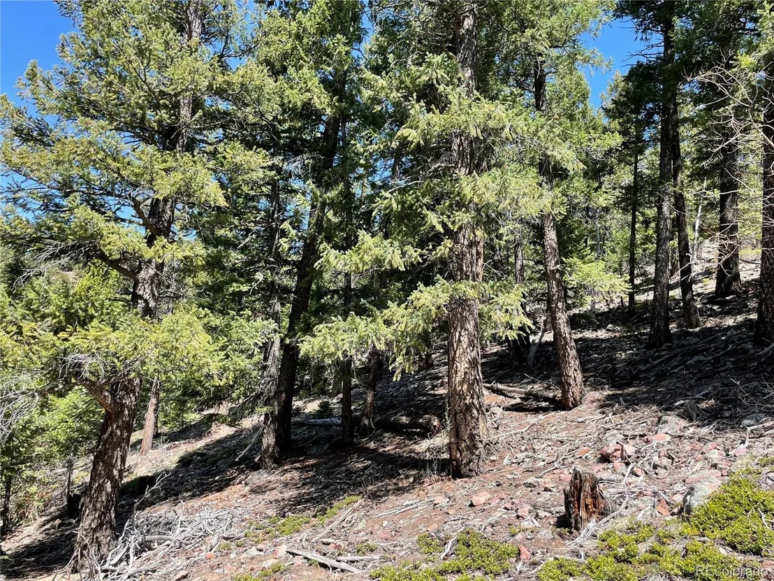 Photo of 33483 Elk Run